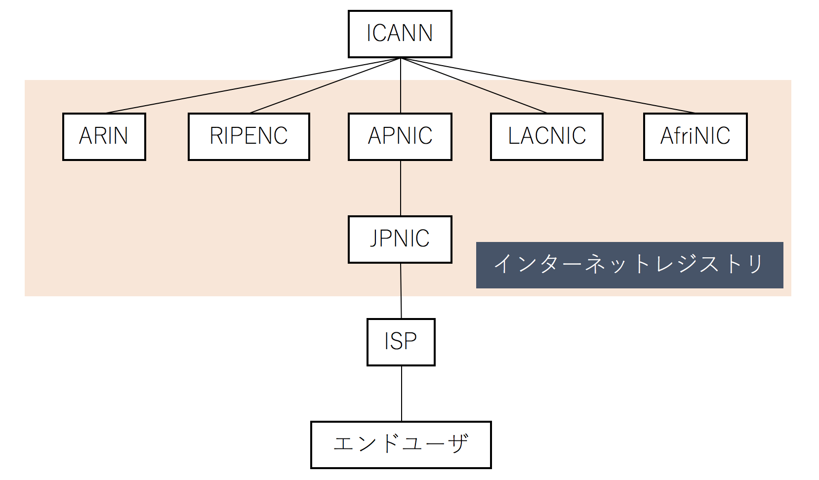組織図(階層)